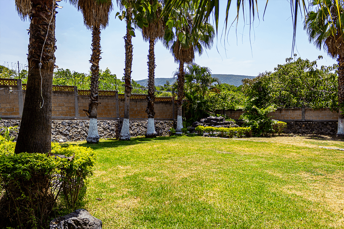 red_aurora_novum-clinica_de_salud_mental-cuernavaca-tepoztlan-clinica_54